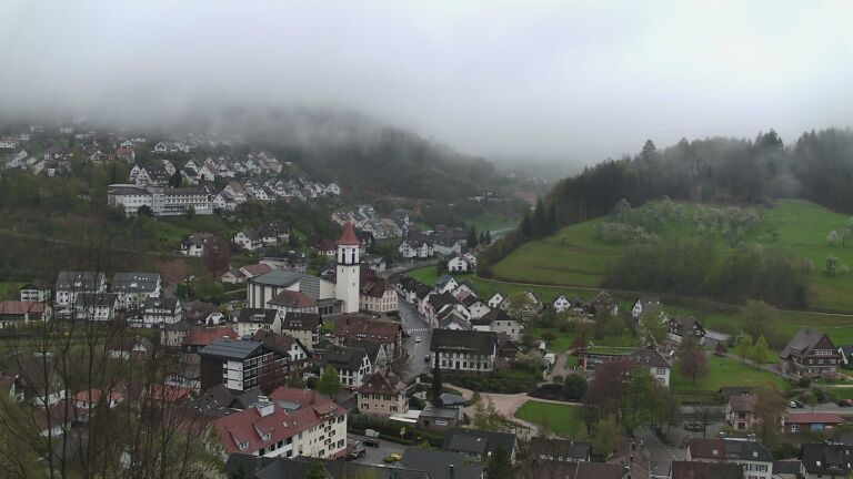 Dieses Bild zeigt eine Webcam-Aufnahme von Ottenhöfen, aufgenommen am Montag, den 13.04.2026 um 08:00 Uhr