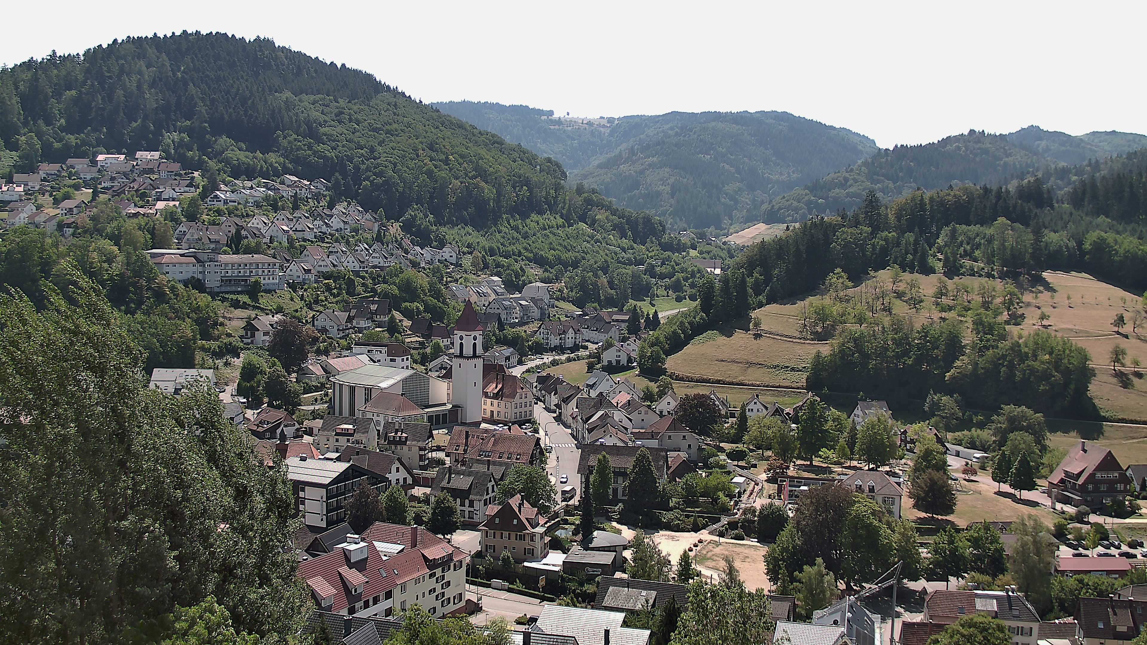 Zum Fotoarchiv vom Dienstag, 11. August 2026