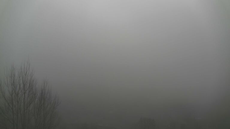 Dieses Bild zeigt eine Webcam-Aufnahme von Ottenhöfen, aufgenommen am Mittwoch, den 25.02.2026 um 11:20 Uhr