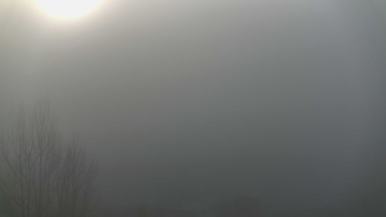 Dieses Bild zeigt eine Webcam-Aufnahme von Ottenhöfen, aufgenommen am Montag, den 29.12.2025 um 10:00 Uhr