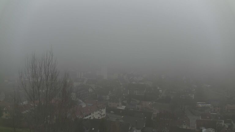 Dieses Bild zeigt eine Webcam-Aufnahme von Ottenhöfen, aufgenommen am Dienstag, den 16.12.2025 um 15:00 Uhr