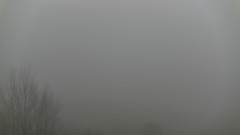 Dieses Bild zeigt eine Webcam-Aufnahme von Ottenhöfen, aufgenommen am Montag, den 22.12.2025 um 14:50 Uhr