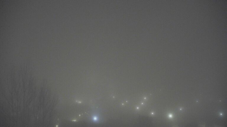 Dieses Bild zeigt eine Webcam-Aufnahme von Ottenhöfen, aufgenommen am Sonntag, den 08.02.2026 um 19:30 Uhr