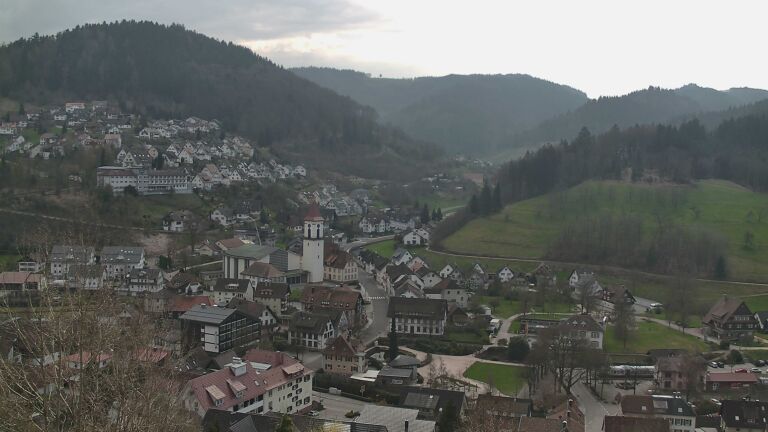 Dieses Bild zeigt eine Webcam-Aufnahme von Ottenhöfen, aufgenommen am Montag, den 23.03.2026 um 11:50 Uhr