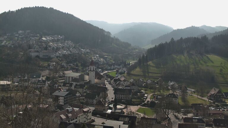 Dieses Bild zeigt eine Webcam-Aufnahme von Ottenhöfen, aufgenommen am Sonntag, den 08.03.2026 um 11:50 Uhr