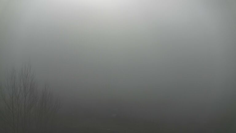 Dieses Bild zeigt eine Webcam-Aufnahme von Ottenhöfen, aufgenommen am Sonntag, den 08.02.2026 um 11:20 Uhr