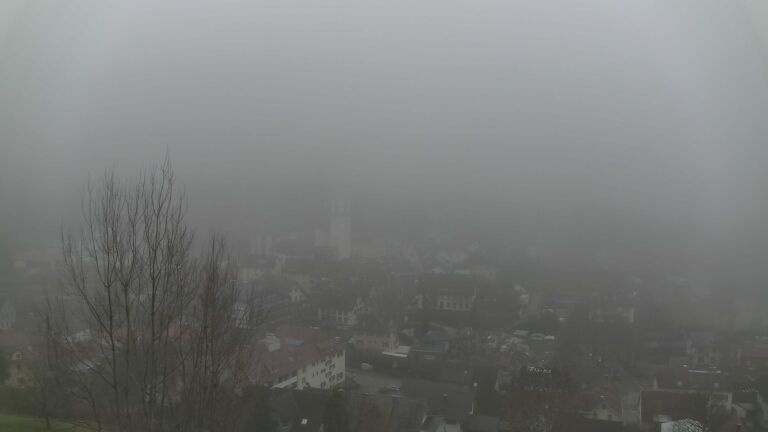 Dieses Bild zeigt eine Webcam-Aufnahme von Ottenhöfen, aufgenommen am Sonntag, den 14.12.2025 um 12:40 Uhr