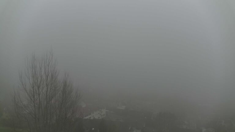 Dieses Bild zeigt eine Webcam-Aufnahme von Ottenhöfen, aufgenommen am Dienstag, den 16.12.2025 um 12:30 Uhr