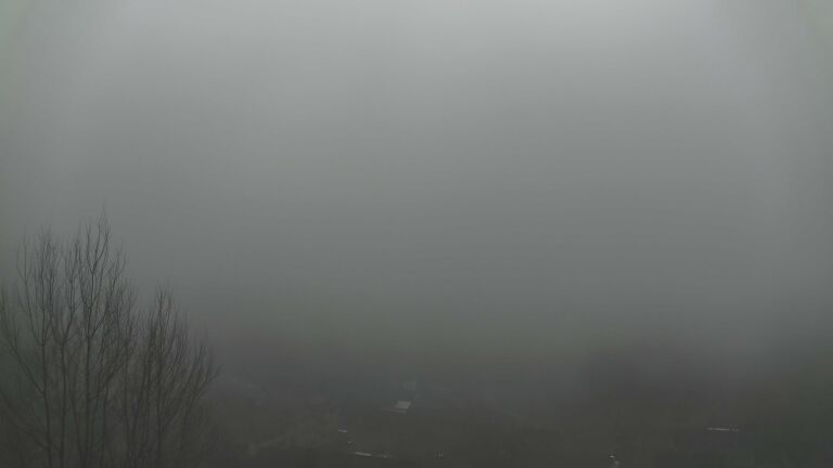 Dieses Bild zeigt eine Webcam-Aufnahme von Ottenhöfen, aufgenommen am Sonntag, den 08.02.2026 um 11:50 Uhr