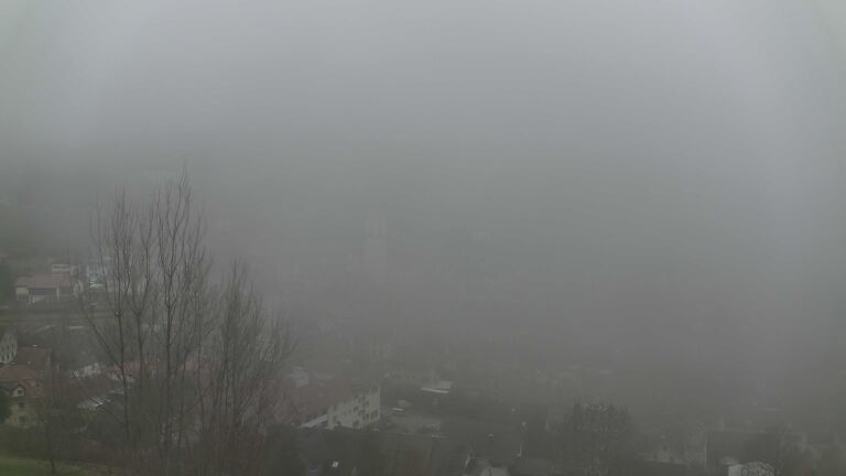 Dieses Bild zeigt eine Webcam-Aufnahme von Ottenhöfen, aufgenommen am Sonntag, den 14.12.2025 um 12:20 Uhr