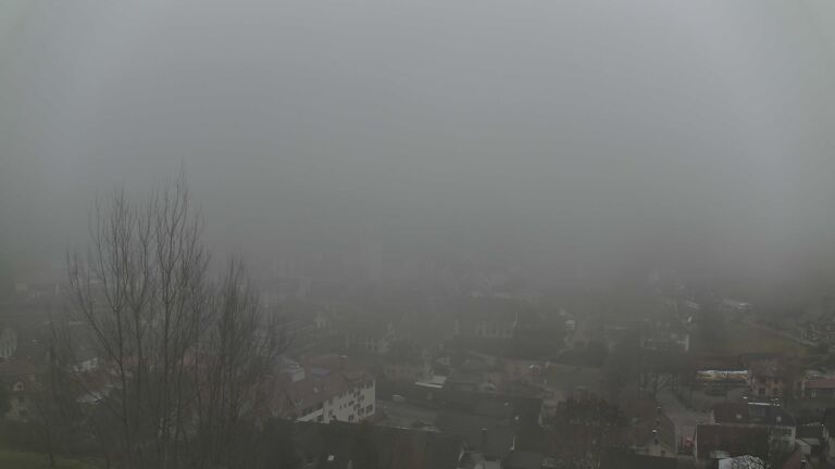 Dieses Bild zeigt eine Webcam-Aufnahme von Ottenhöfen, aufgenommen am Dienstag, den 16.12.2025 um 14:10 Uhr