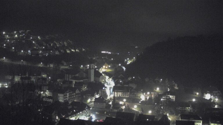 Dieses Bild zeigt eine Webcam-Aufnahme von Ottenhöfen, aufgenommen am Sonntag, den 12.04.2026 um 02:30 Uhr