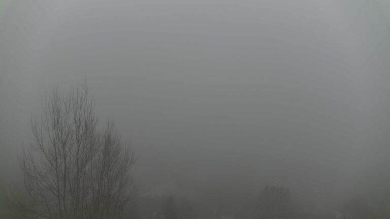 Dieses Bild zeigt eine Webcam-Aufnahme von Ottenhöfen, aufgenommen am Sonntag, den 14.12.2025 um 16:10 Uhr