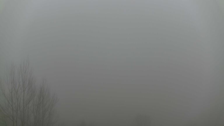 Dieses Bild zeigt eine Webcam-Aufnahme von Ottenhöfen, aufgenommen am Mittwoch, den 28.01.2026 um 08:50 Uhr