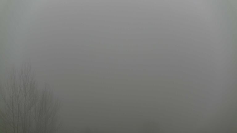 Dieses Bild zeigt eine Webcam-Aufnahme von Ottenhöfen, aufgenommen am Mittwoch, den 28.01.2026 um 14:20 Uhr