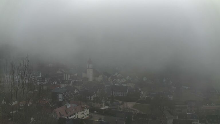 Dieses Bild zeigt eine Webcam-Aufnahme von Ottenhöfen, aufgenommen am Sonntag, den 08.02.2026 um 14:00 Uhr