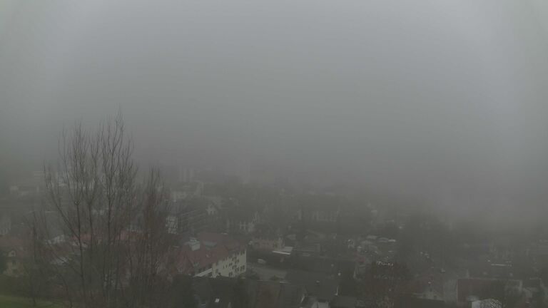 Dieses Bild zeigt eine Webcam-Aufnahme von Ottenhöfen, aufgenommen am Sonntag, den 14.12.2025 um 13:10 Uhr