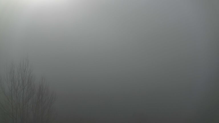 Dieses Bild zeigt eine Webcam-Aufnahme von Ottenhöfen, aufgenommen am Sonntag, den 08.02.2026 um 10:30 Uhr