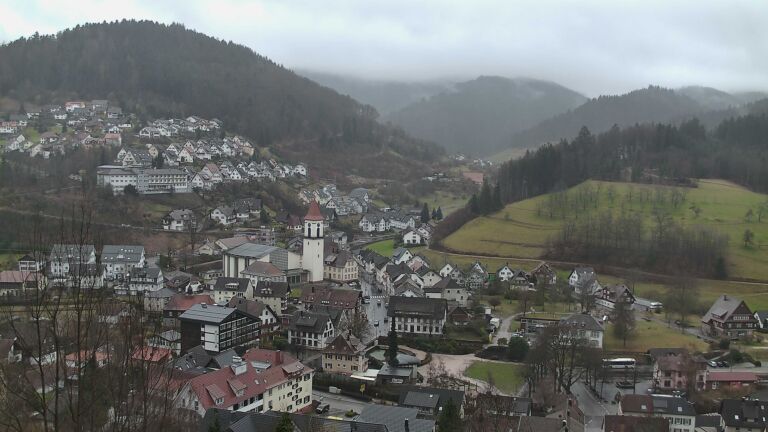 Dieses Bild zeigt eine Webcam-Aufnahme von Ottenhöfen, aufgenommen am Donnerstag, den 12.02.2026 um 12:10 Uhr