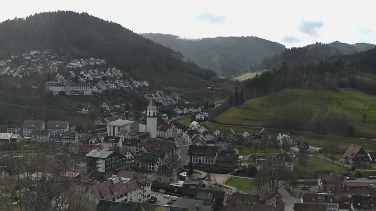 Dieses Bild zeigt eine Webcam-Aufnahme von Ottenhöfen, aufgenommen am Donnerstag, den 12.03.2026 um 09:50 Uhr