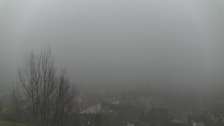 Dieses Bild zeigt eine Webcam-Aufnahme von Ottenhöfen, aufgenommen am Samstag, den 13.12.2025 um 08:20 Uhr