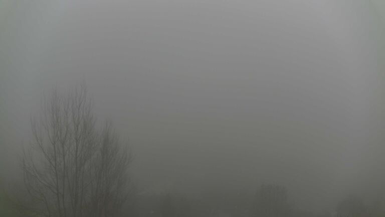 Dieses Bild zeigt eine Webcam-Aufnahme von Ottenhöfen, aufgenommen am Samstag, den 13.12.2025 um 14:30 Uhr