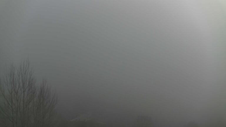 Dieses Bild zeigt eine Webcam-Aufnahme von Ottenhöfen, aufgenommen am Sonntag, den 21.12.2025 um 13:10 Uhr