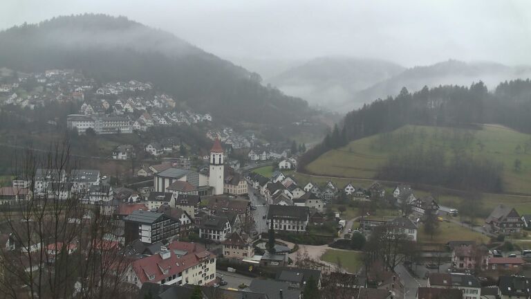 Dieses Bild zeigt eine Webcam-Aufnahme von Ottenhöfen, aufgenommen am Donnerstag, den 29.01.2026 um 11:20 Uhr