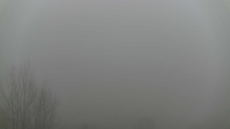 Dieses Bild zeigt eine Webcam-Aufnahme von Ottenhöfen, aufgenommen am Mittwoch, den 28.01.2026 um 08:40 Uhr