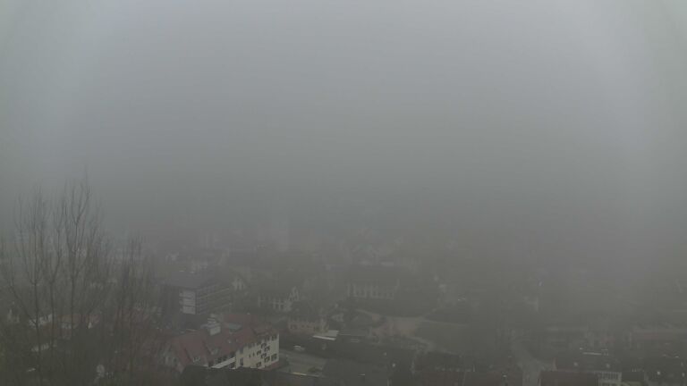 Dieses Bild zeigt eine Webcam-Aufnahme von Ottenhöfen, aufgenommen am Sonntag, den 08.02.2026 um 16:10 Uhr