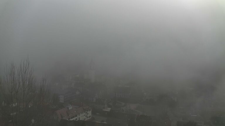 Dieses Bild zeigt eine Webcam-Aufnahme von Ottenhöfen, aufgenommen am Sonntag, den 08.02.2026 um 14:20 Uhr