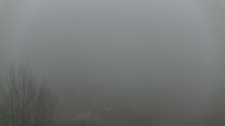 Dieses Bild zeigt eine Webcam-Aufnahme von Ottenhöfen, aufgenommen am Mittwoch, den 28.01.2026 um 16:30 Uhr