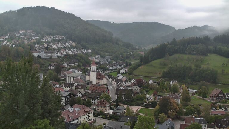 Dieses Bild zeigt eine Webcam-Aufnahme von Ottenhöfen, aufgenommen am Montag, den 19.10.2026 um 11:50 Uhr