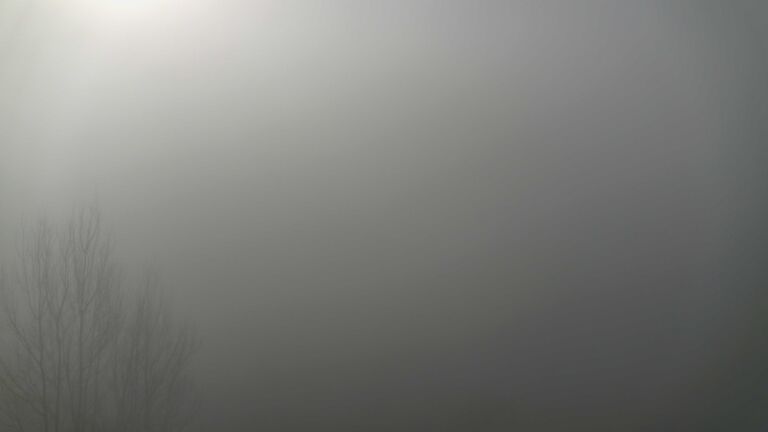 Dieses Bild zeigt eine Webcam-Aufnahme von Ottenhöfen, aufgenommen am Sonntag, den 08.02.2026 um 10:20 Uhr