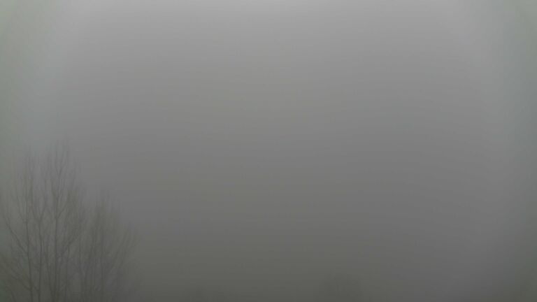 Dieses Bild zeigt eine Webcam-Aufnahme von Ottenhöfen, aufgenommen am Sonntag, den 21.12.2025 um 11:20 Uhr