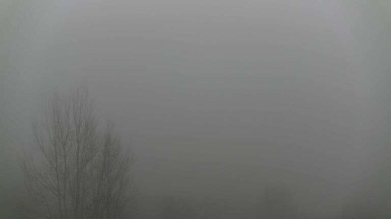 Dieses Bild zeigt eine Webcam-Aufnahme von Ottenhöfen, aufgenommen am Dienstag, den 16.12.2025 um 11:10 Uhr