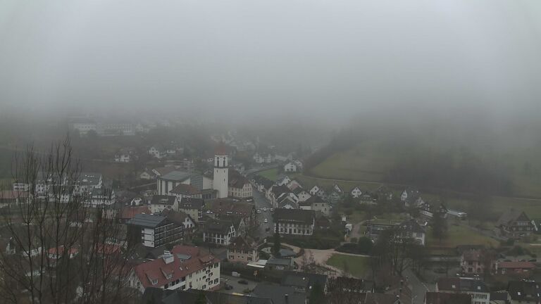 Dieses Bild zeigt eine Webcam-Aufnahme von Ottenhöfen, aufgenommen am Freitag, den 20.02.2026 um 09:50 Uhr