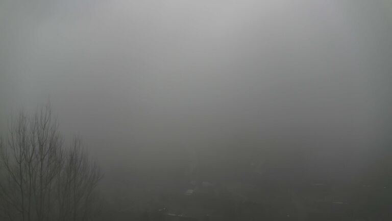 Dieses Bild zeigt eine Webcam-Aufnahme von Ottenhöfen, aufgenommen am Mittwoch, den 25.02.2026 um 11:40 Uhr