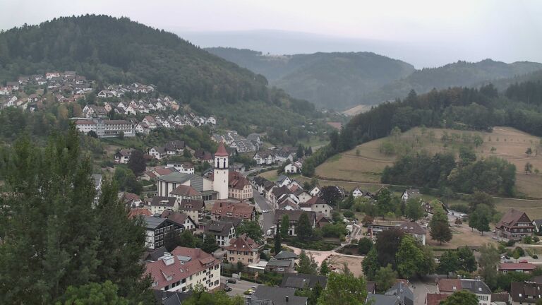 Dieses Bild zeigt eine Webcam-Aufnahme von Ottenhöfen, aufgenommen am Montag, den 17.08.2026 um 08:50 Uhr