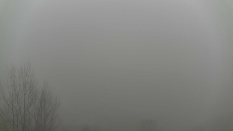 Dieses Bild zeigt eine Webcam-Aufnahme von Ottenhöfen, aufgenommen am Mittwoch, den 28.01.2026 um 08:20 Uhr