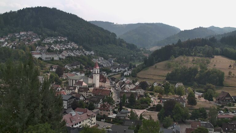 Dieses Bild zeigt eine Webcam-Aufnahme von Ottenhöfen, aufgenommen am Sonntag, den 16.08.2026 um 14:50 Uhr