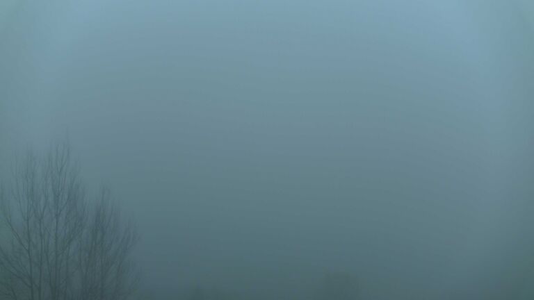 Dieses Bild zeigt eine Webcam-Aufnahme von Ottenhöfen, aufgenommen am Freitag, den 06.02.2026 um 07:50 Uhr