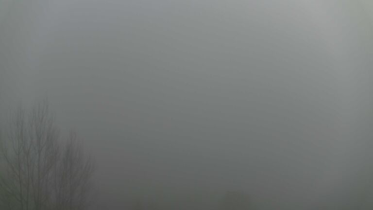 Dieses Bild zeigt eine Webcam-Aufnahme von Ottenhöfen, aufgenommen am Sonntag, den 21.12.2025 um 15:50 Uhr