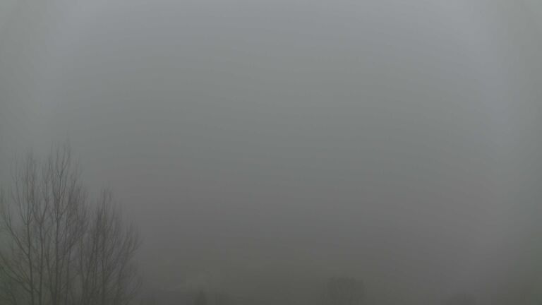 Dieses Bild zeigt eine Webcam-Aufnahme von Ottenhöfen, aufgenommen am Mittwoch, den 28.01.2026 um 14:40 Uhr