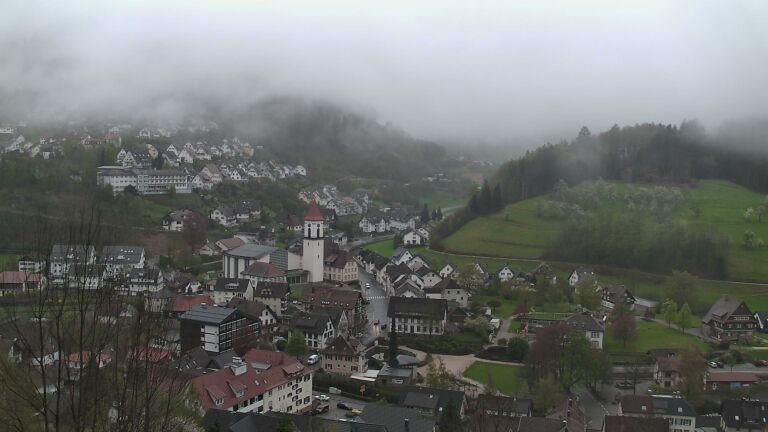 Dieses Bild zeigt eine Webcam-Aufnahme von Ottenhöfen, aufgenommen am Montag, den 13.04.2026 um 07:50 Uhr