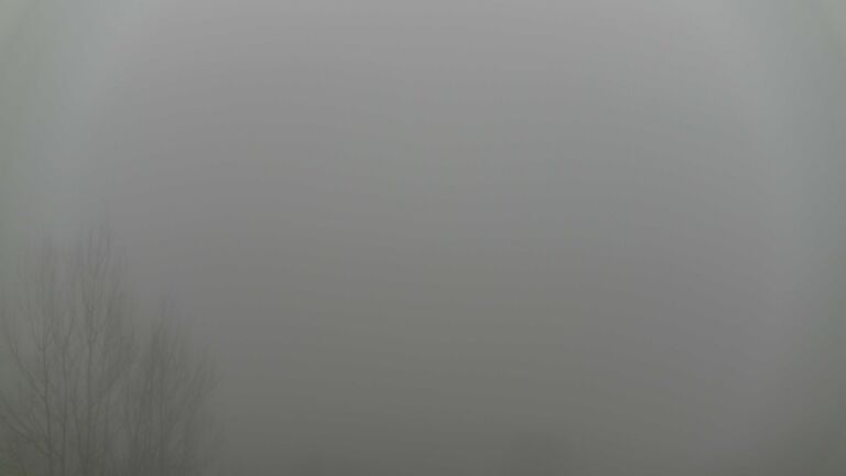 Dieses Bild zeigt eine Webcam-Aufnahme von Ottenhöfen, aufgenommen am Freitag, den 06.02.2026 um 08:20 Uhr