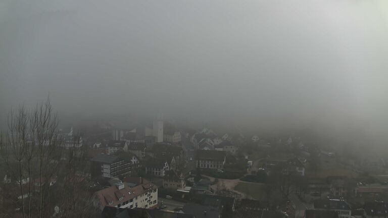 Dieses Bild zeigt eine Webcam-Aufnahme von Ottenhöfen, aufgenommen am Montag, den 02.02.2026 um 14:50 Uhr