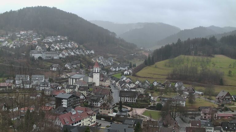 Dieses Bild zeigt eine Webcam-Aufnahme von Ottenhöfen, aufgenommen am Donnerstag, den 12.02.2026 um 14:30 Uhr