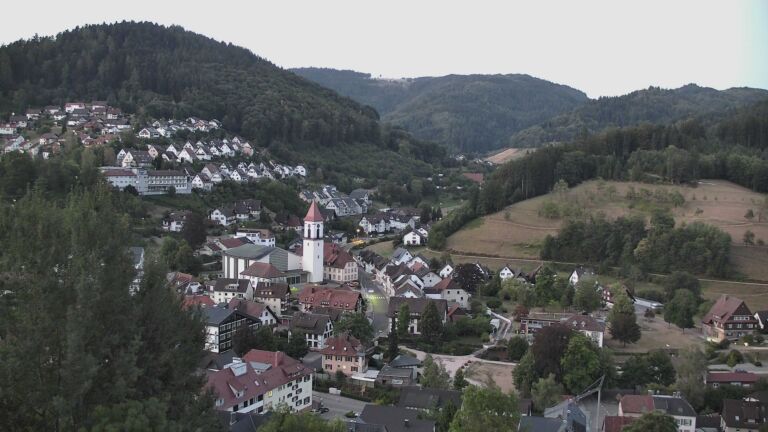 Dieses Bild zeigt eine Webcam-Aufnahme von Ottenhöfen, aufgenommen am Dienstag, den 11.08.2026 um 05:50 Uhr