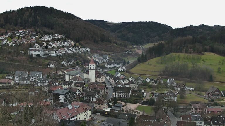 Dieses Bild zeigt eine Webcam-Aufnahme von Ottenhöfen, aufgenommen am Donnerstag, den 19.02.2026 um 11:20 Uhr